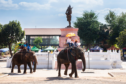 Traveler thai people travel riding elephants trip tour around Ban Ta Klang or Taklang Elephant Village Study Centre and visit elephant ground show at Tha Tum city on January 5, 2024 in Surin, Thailand