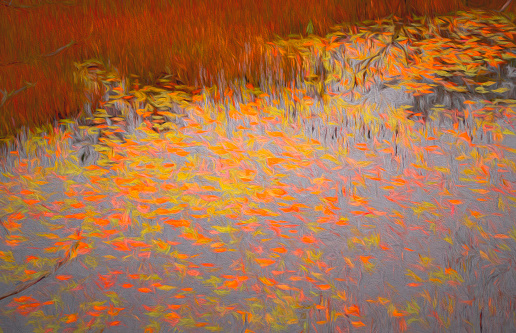 Composition of colourful autumn vegetations,  stylized and filtered to resemble an oil painting. In the foreground meadow with yellow grass and red young oaks, in the background colourful foliage of various trees in the forest.