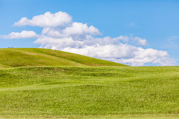China, Xinjiang, Bayingolin Mongolian Autonomous Prefecture, Baynbruck Grassland