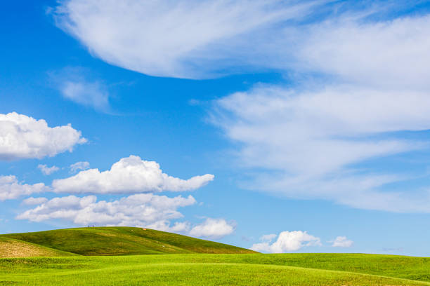istock The grassland under the blue sky and white clouds 1944752700