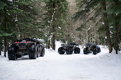 Quad bikes are lined up on a snowy terrain amidst a thick pine forest, giving the impression of a winter off-road adventure setting.