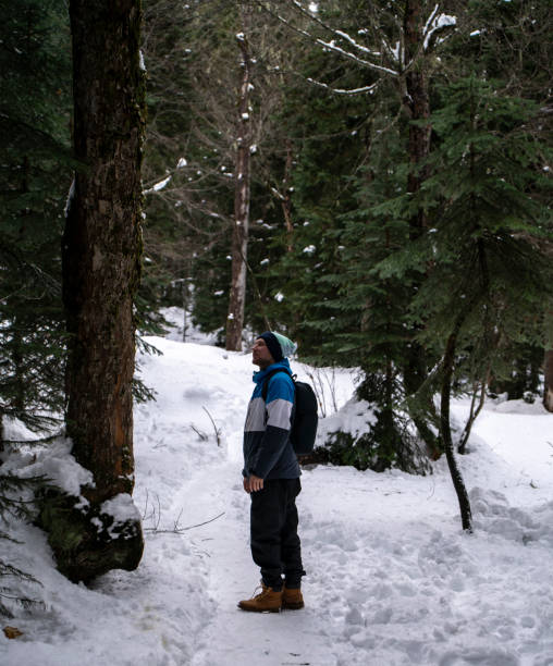 istock Captured from behind, a person in a jacket embarks on a tranquil walk along a snowy path in a dense winter forest. 1944769064