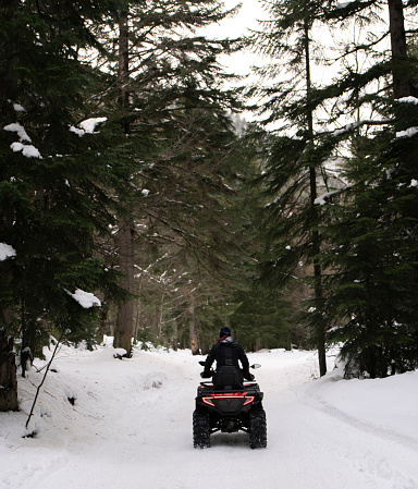 A person drives a quad bike down a snowy trail surrounded by dense evergreen trees, highlighting a sense of adventure in a winter landscape.