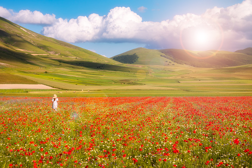 Girl in white dress walking in summer wild flower field