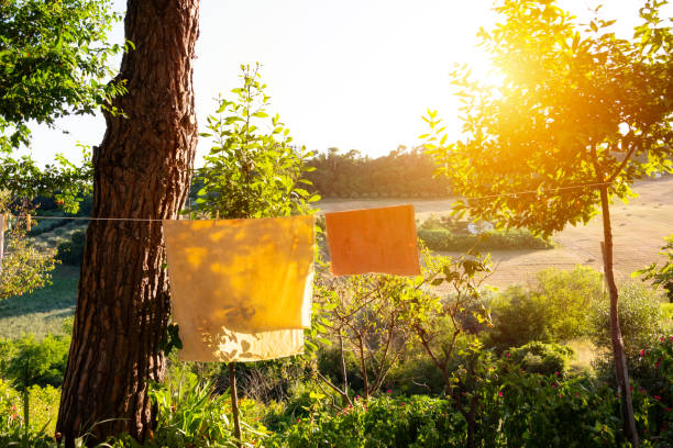 istock Fabrics drying outdoors in summer, rural landscape 1944795772