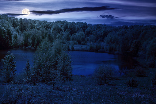 lake among the forest on the hill at night in summer. fantasy nature scenery in full moon light