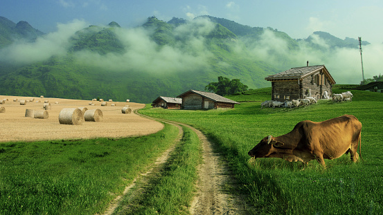 Amazing rural view in the mountains. Rustic path in a green field with hay, cow and wooden houses with a sheep. Village landscape. Agriculture and countryside