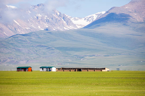 China, Xinjiang, Bayingolin Mongolian Autonomous Prefecture, Baynbruck Grassland
