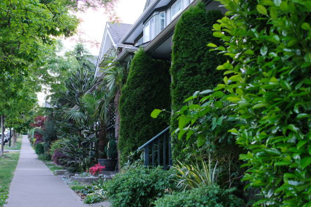 Springtime garden of lush shrubs, bushes, vines, perennials, and annuals create a wall of greenery that covers and seems to envelope a building. Only windows are visible in the structure wrapped and hidden behind all the manicured green plants and mowed lawn. The English garden style landscaping is beautiful, idyllic, and inviting on a spring day.