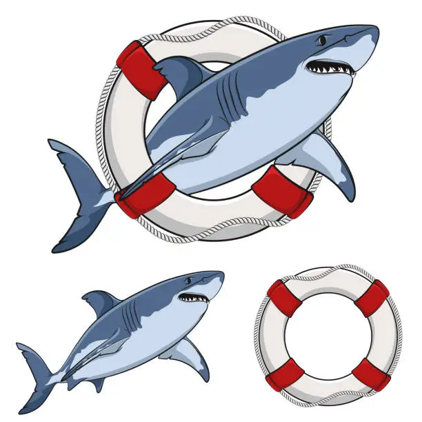 Vector illustration of Color image white shark and life buoy.