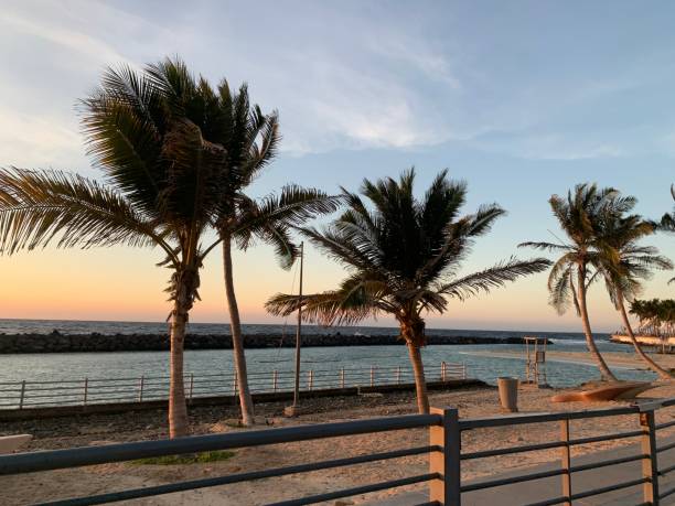 istock The palm trees view beside the sea corner 1944856561