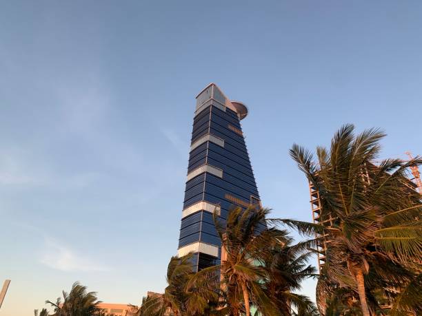 The skyscraper building view in the sky with palm trees