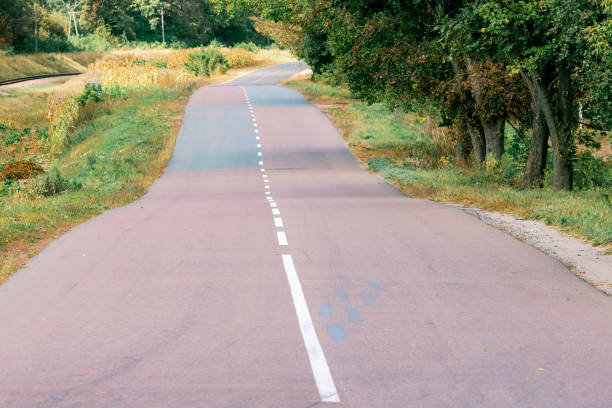 istock Wavy and bumpy asphalt road. Ahead is a long road that curves undulatingly into the distance with white lines. 1944858238