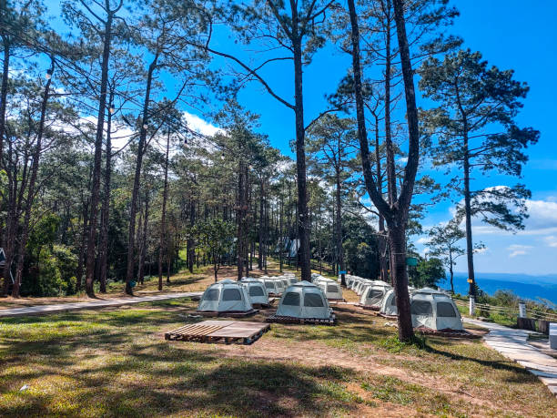 istock Camping with nature, fresh, mountain 1944868526