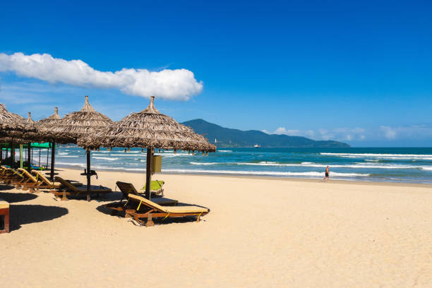 Tropical white sand beach with coconut tree, deep blue sky and turquoise waters.