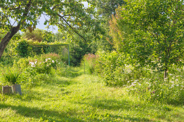 Beautiful landscape of summer garden on sunny day; various trees and plants