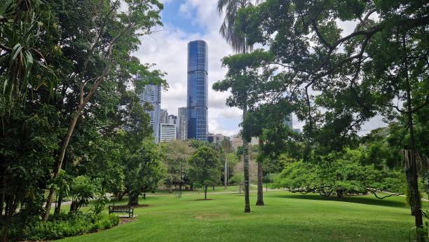 istock Botanic Gardens, Brisbane with Skytower CLLIX 1944920550
