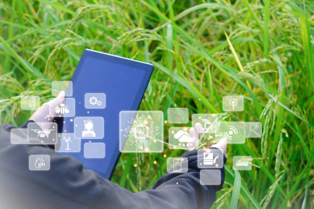 istock Innovative Smart Farm System Technology, Agricultural Management Mobile smartphone with smart technology concept, to store data for study. 1944940414