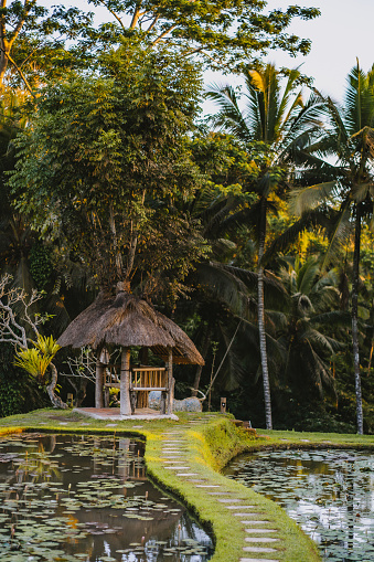 Photo of small bungalow in the nature. Tropical house on the water surrounded by jungle palms