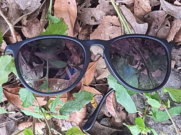 istock Sunglasses forgotten in a forest among the leaves 1944942007