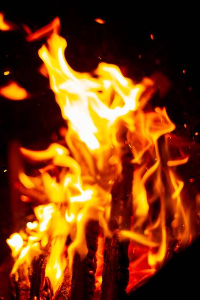 Bonfire at night. Wooden logs are burning. Fire