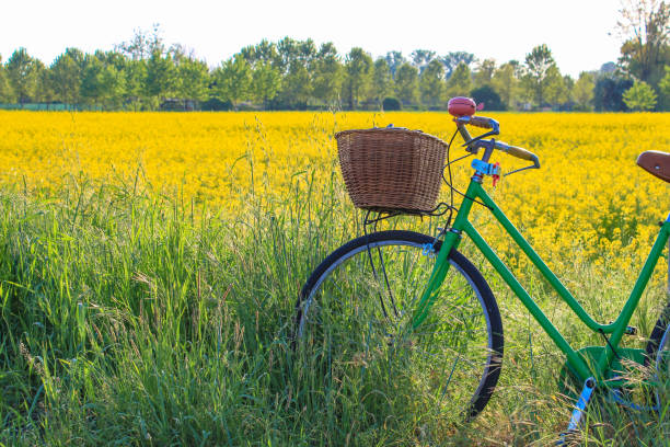 istock Cycling cross the rape fields in Moscazzano 1944969871