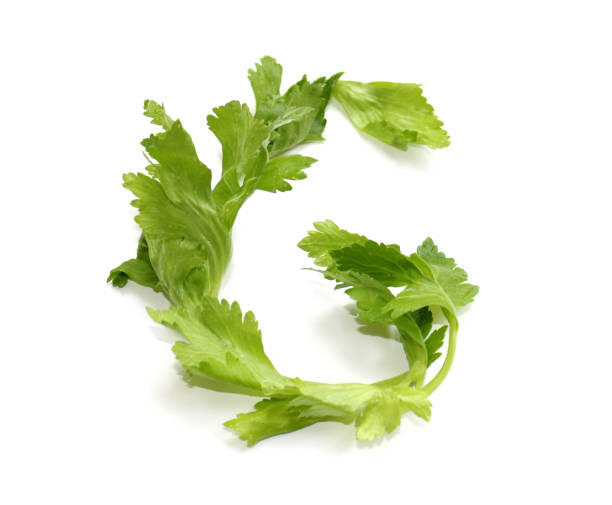 Letter G made from green celery sticks for vegetable letters