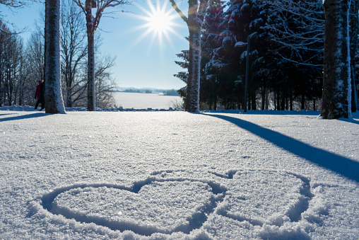 hand drawn two heart shape in the fresh snow.Blurred sunlight park forest trees background.