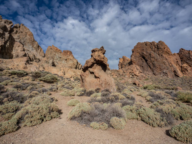 istock Landscape of Teide National Park 1945006470