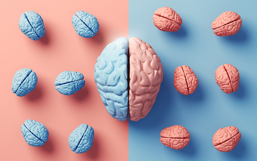 3d Render Anatomy of Right and Left Lobes of Human Brain on Soft Colored Background, Thought, Dementia, Parkinson's Disease, Alzheimer's, Mental Seizures (close-up)