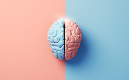 3d Render Anatomy of Right and Left Lobes of Human Brain on Soft Colored Background, Thought, Dementia, Parkinson's Disease, Alzheimer's, Mental Seizures (close-up)