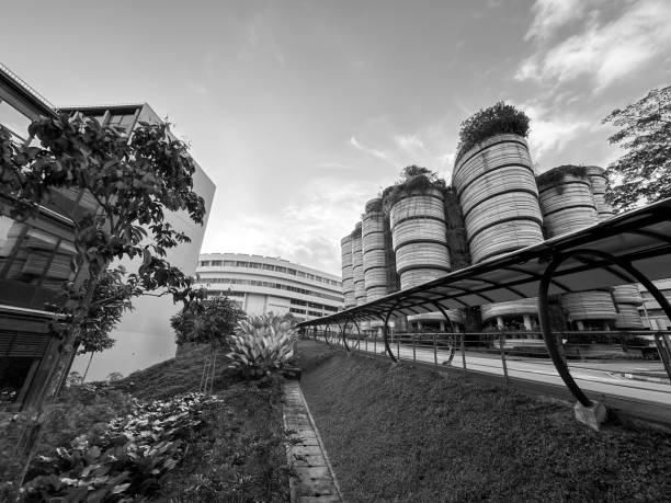 The Hive, also known as Learning Hub South, is a stunning building located at Nanyang Technological University in Singapore. It features a unique architectural design with its distinctive honeycomb-like structure. This vibrant and innovative hub serves as a collaborative learning space for students, fostering creativity and knowledge exchange.