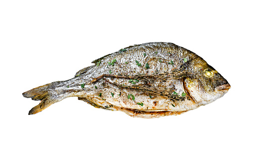 Roasted sea bream  fish with herbs  Isolated on white background, Top view