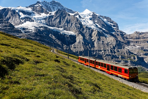 A cog-wheel train travels on famous Jungfrau Railway from Kleine Scheidegg on a green grassy hillside to Jungfraujoch station ( top of Europe) on a sunny summer day, in Bernese Oberland, Switzerland