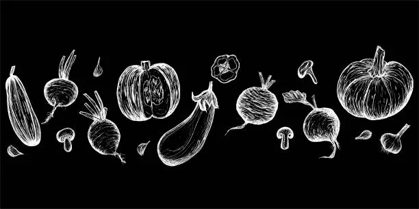 Vector illustration of Horizontal border of Vegetables sketch white on black. Hand-drawn Harvest. Vegetarian food Vector illustration.