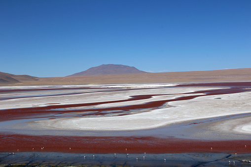 View of Laguna Colorada in Eduardo Avaroa Andean Fauna National Reserve, Bolivian altiplano.