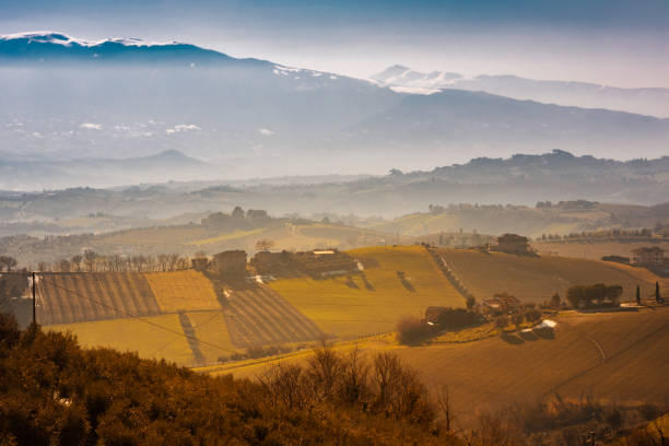 istock Agricultural fields and cultivated land on hills 1945101280