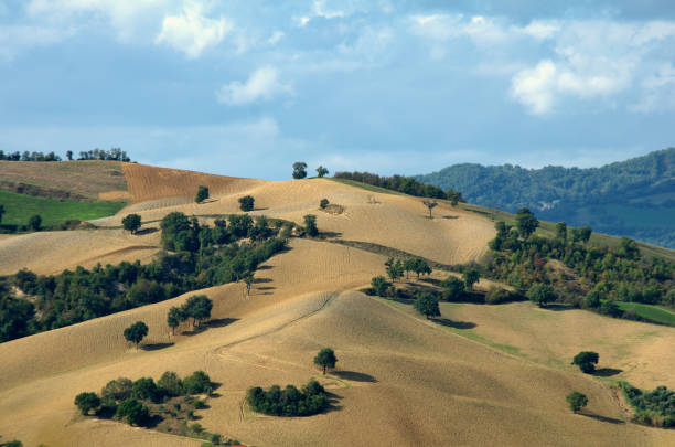 istock hills of plowed fields and oak trees against the cloudy sky 1945107192