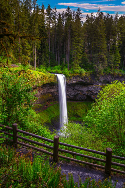 South Falls at Silver Falls State Park, Oregon, with lush greenery. Long exposure.