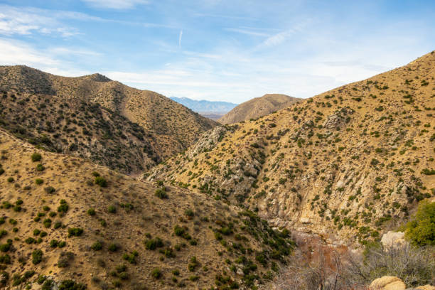 istock San Bernardino National Forest Views 1945141952