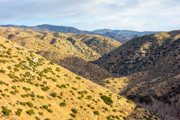 istock San Bernardino National Forest Views 1945142989
