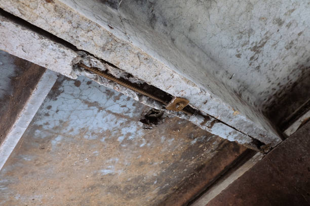 istock Defective ribbed slabs. Cracks, hole and chipped concrete with exposed corroded reinforcement. Close up. Defect inspection. 1945199482