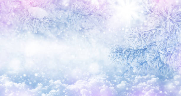 istock Winter bright background with  pine branch in  frost. 1945209948
