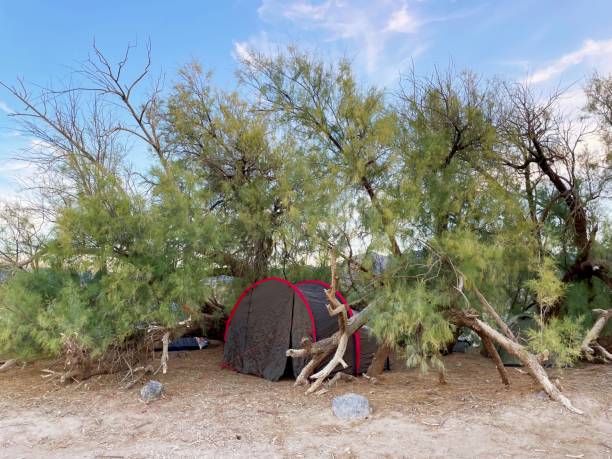 istock Camping tent in a shelter between trees 1945216716