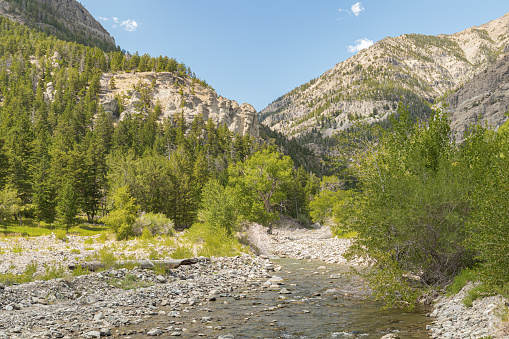 Wood River and canyon of the Shoshone National Forest in the wilderness of northwest Wyoming during summer.