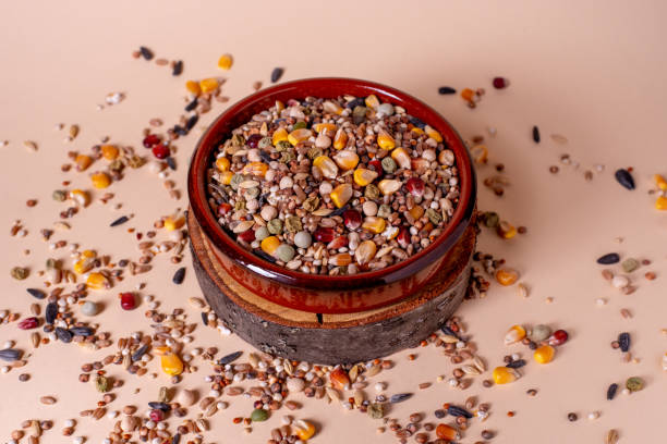 istock Feed for birds in the bowl. Assorted bird seed, feed for racing pigeons. 1945274345