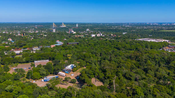 istock City in covered in dense vegetation 1945274353