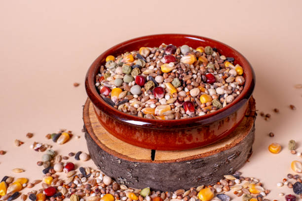 istock Feed for birds in the bowl. Assorted bird seed, feed for racing pigeons. 1945274356