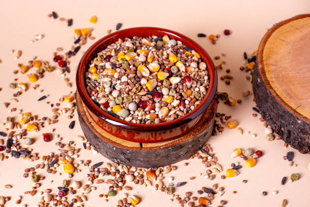 istock Feed for birds in the bowl. Assorted bird seed, feed for racing pigeons. 1945274364