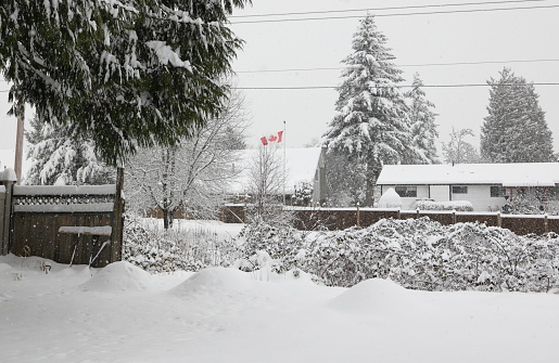 The national flag of Canada blows in a January snowstorm during an Artic outflow. Detached houses line a green belt in the Fleetwood-Tynehead neighbourhood of Surrey, British Columbia. Winter afternoon in Metro Vancouver.
